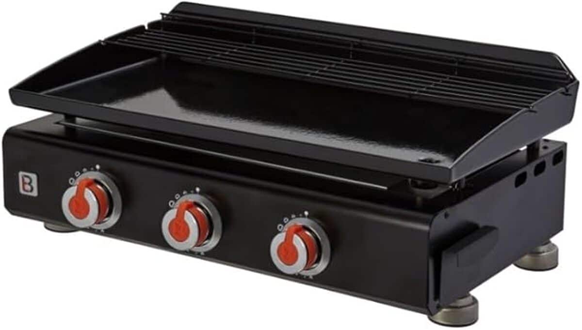 Test de la plancha Silvia II G : performance et convivialité au rendez-vous